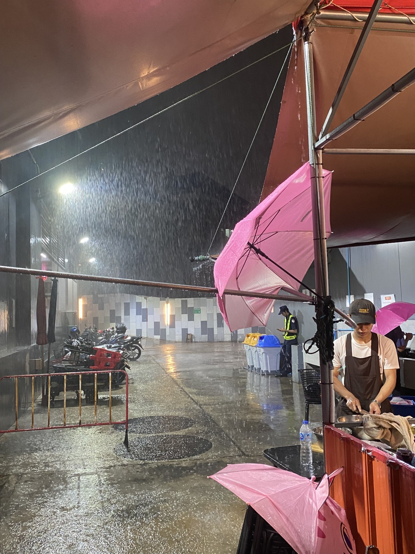 Welcome to Hormone Dining, where the rain 🌧️ won't stop...