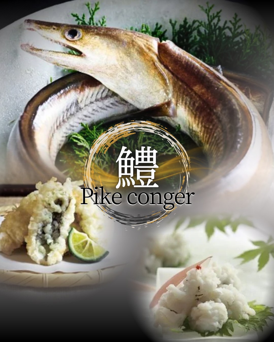Our restaurant offers Japanese cuisine that makes the most of seasonal ingredients. This month's recommendation is fresh conger eel. If you're eating it as sashimi, you can enjoy it with pickled plum and wasabi. The refreshing acidity and subtle spiciness bring out the umami of the conger eel. And if you'd like to enjoy it as tempura, the special sauce of green onion and ginger adds an exquisite accent, allowing you to savor the depth of the ingredients with every bite. We also offer a conger eel soup. This dish, packed with umami, offers a soothing taste that is gentle on the body and mind. Come experience the charm of conger eel dishes in a variety of forms that will satisfy every palate. We promise you a new experience with every visit.

ร้านอาหารของเรานำเสนออาหารญี่ปุ่นที่เน้นวัตถุดิบตามฤดูกาล เมนูแนะนำประจำเดือนนี้คือปลาไหลทะเลสด หากรับประทานแบบซาชิมิ สามารถรับประทานคู่กับบ๊วยดองและวาซาบิได้ รสชาติเปรี้ยวสดชื่นและเผ็ดเล็กน้อยช่วยขับเน้นรสชาติอูมามิของปลาไหลทะเลให้เด่นชัดยิ่งขึ้น และหากอยากรับประทานแบบเทมปุระ ซอสสูตรพิเศษจากต้นหอมและขิงจะช่วยเพิ่มรสชาติอันประณีต ให้คุณได้ลิ้มรสชาติอันล้ำลึกของวัตถุดิบในทุกคำที่กัด เรายังมีซุปปลาไหลทะเลอีกด้วย อาหารจานนี้อัดแน่นไปด้วยรสชาติอูมามิ ให้รสชาติที่ผ่อนคลาย อ่อนโยนต่อร่างกายและจิตใจ เชิญสัมผัสเสน่ห์ของเมนูปลาไหลทะเลหลากหลายรูปแบบที่ถูกใจทุกรสนิยม เราขอรับรองว่าคุณจะได้รับประสบการณ์ใหม่ๆ ทุกครั้งที่มาเยือน

当店では、四季折々の食材を活かした和食をお届けしております。今月のおすすめは、新鮮な鱧。刺身として召し上がる場合は、梅やわさびと共にお楽しみいただけます。爽やかな酸味とほのかな辛味が、鱧の旨味を際立たせます。そして、天麩羅として味わいたい方には、ネギと生姜の特製ソースが絶妙なアクセントとなり、一口ごとに素材の深みを堪能できます。さらに、鱧を使ったスープもご用意しております。旨味が凝縮されたこの一品は、心と体に優しい癒しの味わいをもたらします。様々な形であらゆる味覚を満たす鱧料理、ぜひ当店にてその魅力をご体感ください。訪れるたびに新しい感動をお約束いたします。


#和食
#刺身
#sashimi
#templa
#japanesecuisne
#bangkok