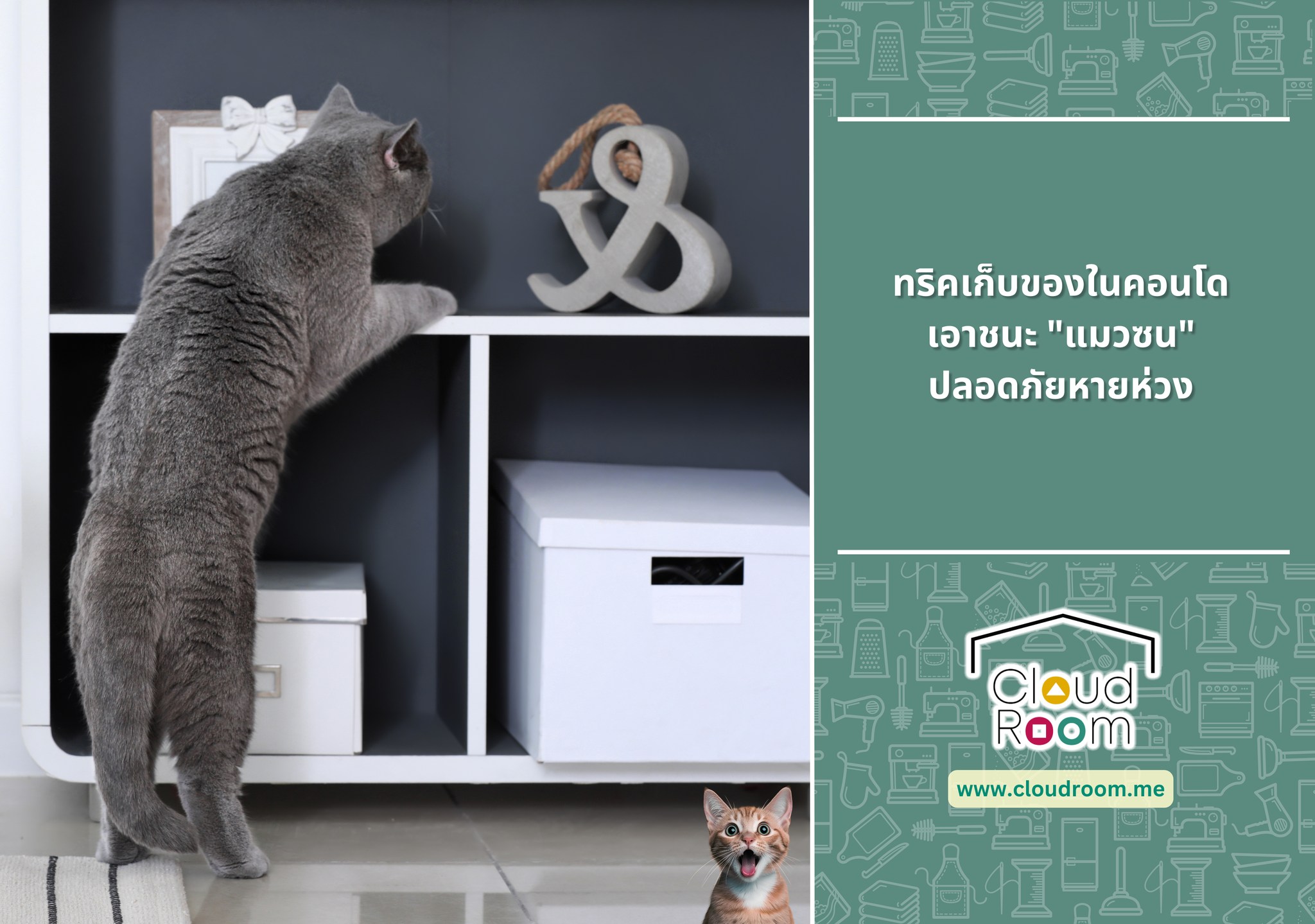 ทริคเก็บของในคอนโดเอาชนะ “แมวซน” 🐱 ปลอดภัยหายห่วง

สำหรับคนรักแมวที่อาศัยอยู่ในคอนโดพื้นที่จำกัดและต้องเผชิญกับความซนของเจ้าเหมียว คงเข้าใจดีว่าการจัดเก็บของให้ปลอดภัยจาก “กรงเล็บและฟัน” ถือเป็นภารกิจสำคัญที่ไม่ควรมองข้าม เพราะนอกจากจะป้องกันความเสียหายต่อข้าวของเครื่องใช้แล้ว ยังรวมถึงความปลอดภัยของน้องแมวเองที่อาจเผลอกลืนหรือเล่นกับสิ่งอันตรายได้ บทความนี้มีทริคดีๆในการเก็บของสำหรับคอนโดที่มีแมวซนโดยเฉพาะ!

อ่านต่อได้ที่ https://www.cloudroom.me/th/topics/2025/10/18/4177/

🔹🔹🔹🔹🔹🔹🔹🔹🔹🔹🔹
สอบถามเพิ่มเติม
📲 Line: @cloudroom (มี@นำหน้า)
📞 02-130-0877
Website: https://www.cloudroom.me
🔹🔹🔹🔹🔹🔹🔹🔹🔹🔹🔹
.
#ย้ายของ #บริการเก็บเอกสารบัญชีCloudRoom #จัดห้อง #แต่งห้องนอน #จัดบ้าน
#cloudroomserviceforaccounting #SelfStorageServiceForYou #จัดเก็บเอกสาร #ทำพื้นที่บริษัทให้สะอาด #SelfStorage #ห้องเก็บของส่วนตัว #NewNormalStorage #CloudRoom #SmartSelfStorage #CoSharingStorage