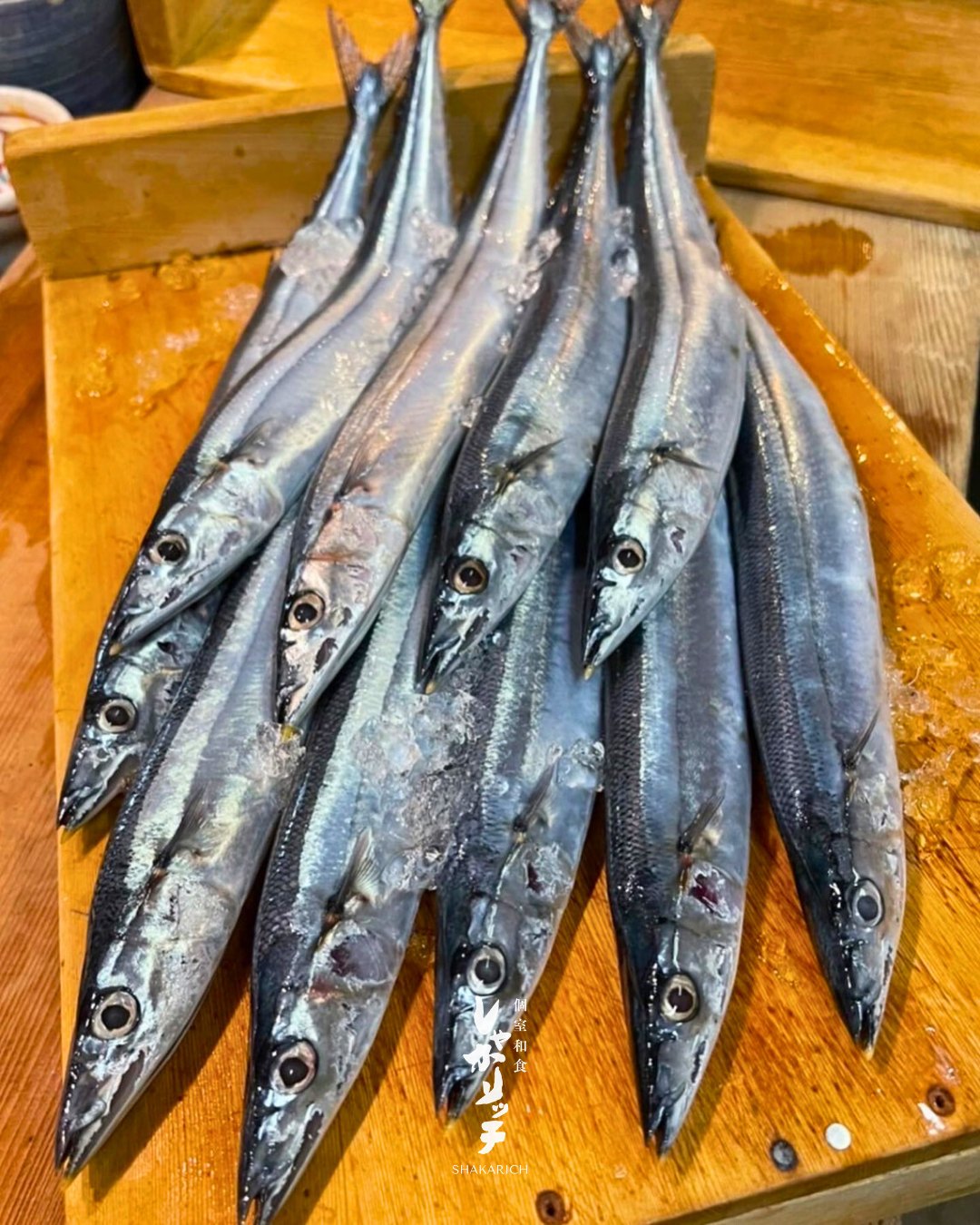 #shakarich
#しゃかりっち
#シャカリッチ