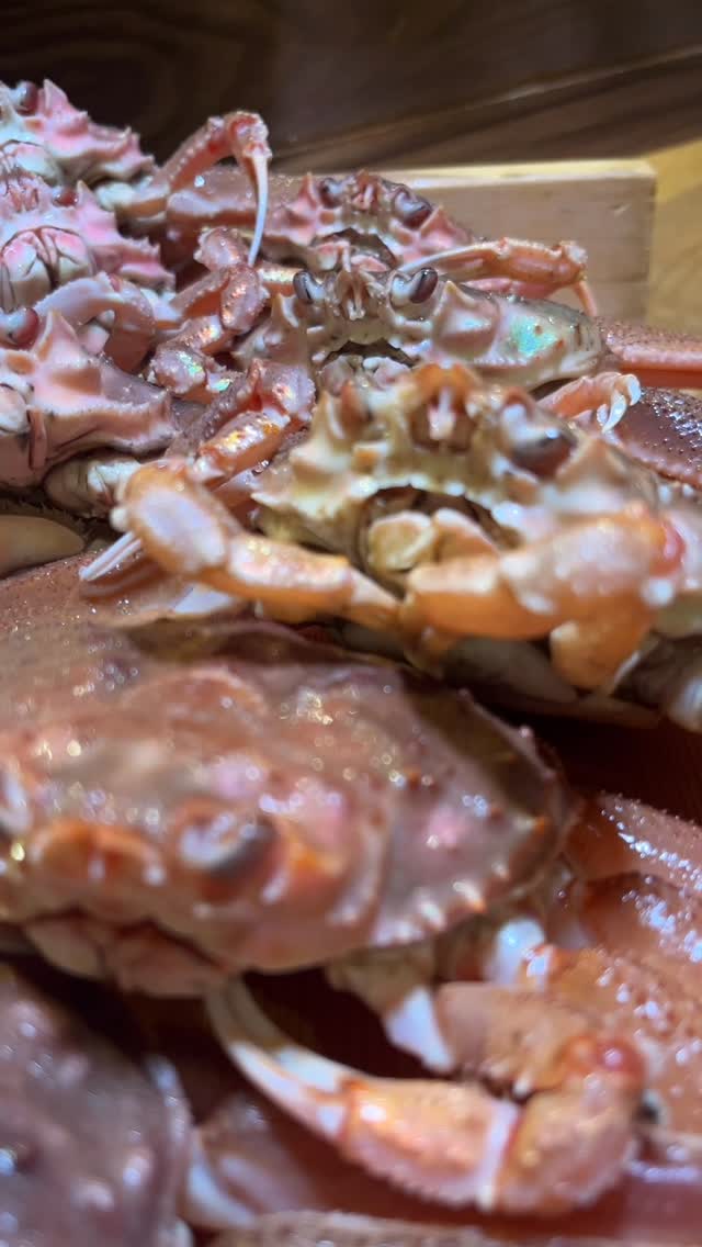 รสชาติแห่งฤดูหนาวของญี่ปุ่น “ปูเสกะ” จากจังหวัดเฮียวโงะ 🦀✨
อัดแน่นด้วยไข่ปูด้านในและด้านนอก รวมถึงเนื้อหวานแน่นที่มีเฉพาะในฤดูนี้เท่านั้น
เชิญลิ้มลองความอร่อยพิเศษนี้ได้ที่ Shakarich
ร้านอาหารญี่ปุ่นสไตล์วาโชกุในกรุงเทพฯ

日本の冬の味覚、兵庫県産のせこ蟹が入荷しました🦀✨
小さな体に濃厚な内子と外子、そして旨みたっぷりの身がぎっしり詰まった冬だけの贅沢。
旬の味わいを、ぜひShakarichでご堪能ください。
バンコクで味わえる本格和食をお届けします。

A treasured winter delicacy from Japan — Sekogani (female snow crab) from Hyogo has arrived! 🦀✨
Packed with rich roe and sweet, delicate meat, this seasonal gem is available only during winter.
Enjoy this authentic Japanese flavor at Shakarich, a Japanese washoku restaurant in Bangkok.

-*-*-*-*-*-*-*-*-*-*-*-*-*-*-
📝 For reservations and inquiries,
contact us on LINE!
＠shakarich
*-*-*-*-*-*-*-*-*-*-*-*-*-*-*-*-

🍴SHAKARICH
📍Shilom Surawong
🕚11:00-Late
📞02-086-7898
🚪15 Private Rooms
(From 2P up to 20P)
🅿️Charn Issara Tower 1
🚄4 min walk from BTS Sala Deang
📱097-053-9928(Japanese)

📍Thonglor Soi 14
🕚11:00-late
📞02-045-4032
📱097-053-9928(Japanese)
🚪12 Private Rooms

#Shakarich #せこ蟹 #兵庫県産 #冬の味覚 #和食 #バンコク和食 #JapaneseRestaurantBangkok #Sekogani #WinterDelicacy #HyogoCrab