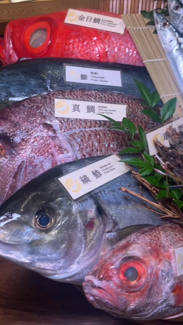 ปลาน็อโดกุโระจากเกาะโกโต้ จังหวัดนางาซากิ 🐟
เนื้อขาวนุ่มเหมือนท้องปลาเต็มไปด้วยความมันอร่อยสุดยอด!
สามารถทำทั้งย่างเกลือหรือเคี่ยวซอสก็อร่อยได้เต็มที่ 🍶

Nodoguro (Blackthroat Seaperch) from Goto Islands, Nagasaki 🐟
Richly fatty “white tuna-like” flavor that melts in your mouth!
Delicious grilled with salt or simmered in sauce — enjoy every bite 🍶

長崎・五島列島産ののどぐろ🐟
「白身のトロ」と呼ばれるほど脂がのった極上の旨味！
塩焼きでも煮付けでも、美味しさを存分に楽しめます🍶

-*-*-*-*-*-*-*-*-*-*-*-*-*-*-
📝 For reservations and inquiries,
contact us on LINE!
＠shakarich
*-*-*-*-*-*-*-*-*-*-*-*-*-*-*-*-

🍴SHAKARICH
📍Shilom Surawong
🕚11:00-Late
📞02-086-7898
🚪15 Private Rooms
(From 2P up to 20P)
🅿️Charn Issara Tower 1
🚄4 min walk from BTS Sala Deang
📱097-053-9928(Japanese)

📍Thonglor Soi 14
🕚11:00-late
📞02-045-4032
📱097-053-9928(Japanese)
🚪12 Private Rooms

#shakarich#Nodoguro #GotoIslands #NagasakiFood #WhiteFish #GrilledOrSimmered #SeafoodLovers #JapaneseCuisine #LuxuryFood #DeliciousBites #HomeDining