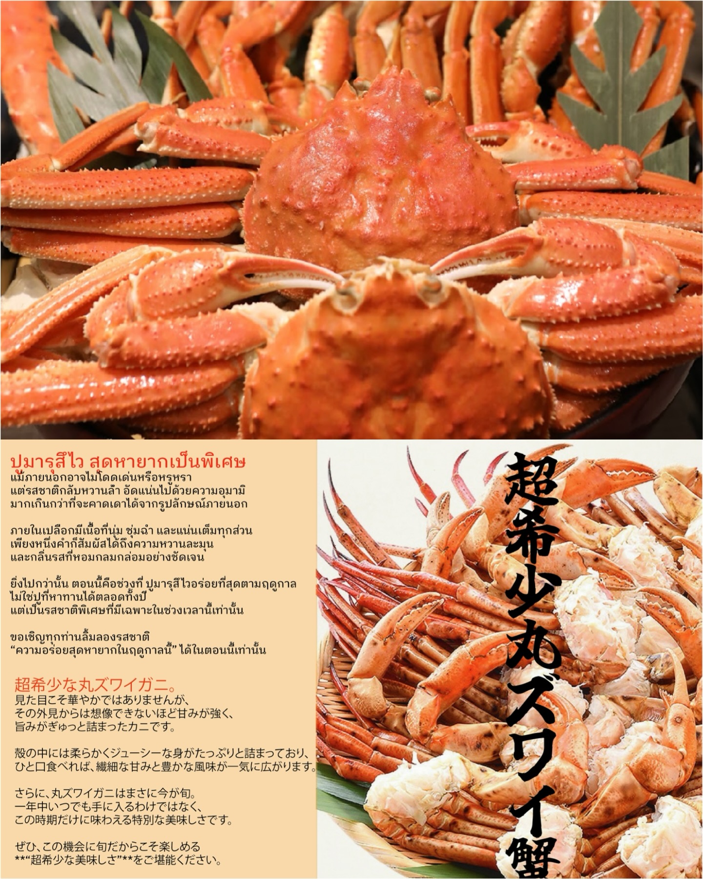 超希少🦀今しか食べられない丸ズワイガニ
✨ 甘くてジューシー😳
魅力たっぷりの『丸ズワイガニ』。
上品な甘みと柔らかい食感で、食べた瞬間に幸せになる味。甘みの強さが魅力
⁡
ズワイ蟹食べ放題コース、タラバ蟹食べ放題コース
どちらをお選び頂いても、
丸ズワイ蟹は食べ放題に含まれています◎

📍Kanitengoku Asok Sukhumvit23
📞0800743032
LINE @080vecfn