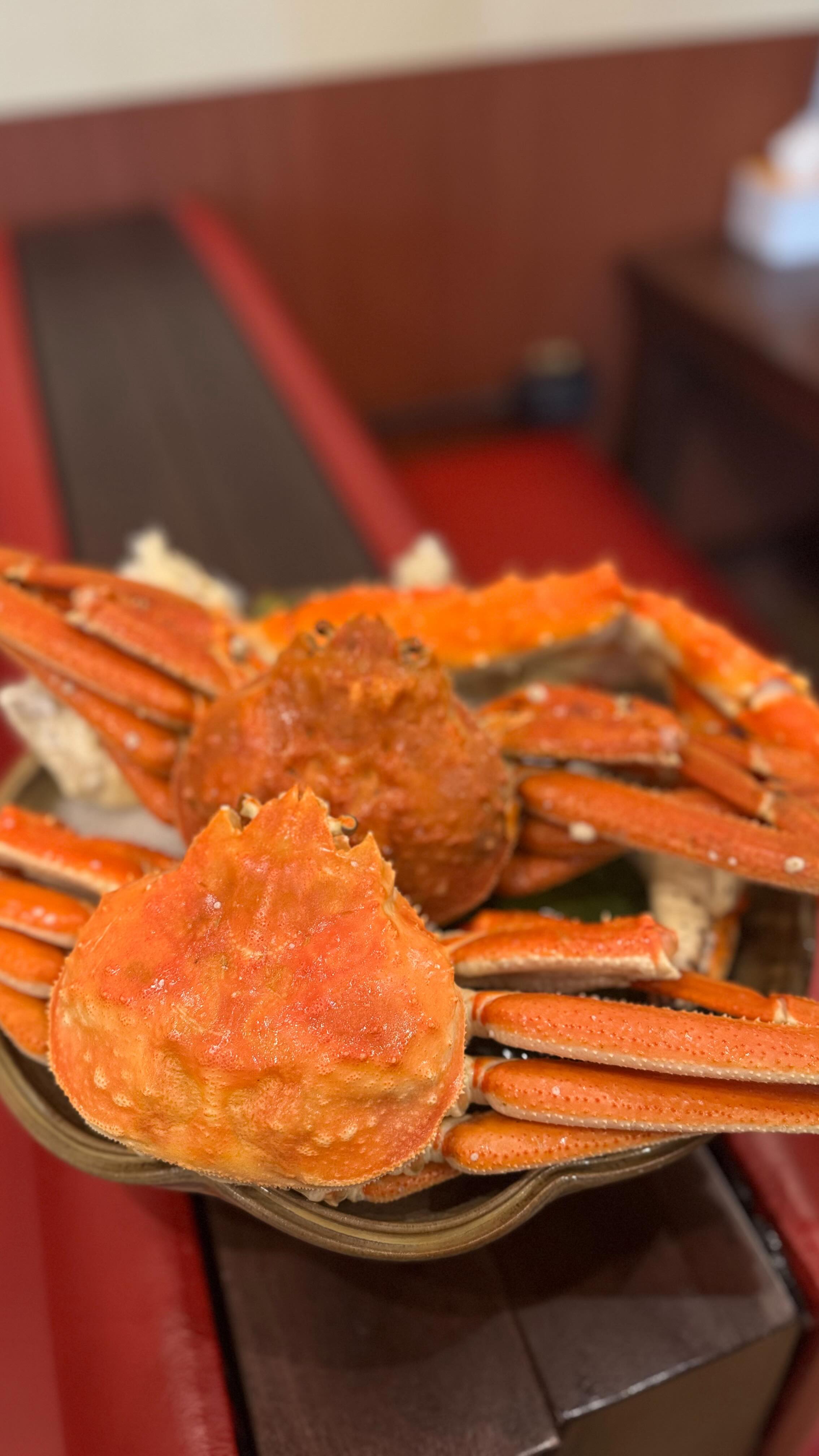 🦀✨🍽️

📌Open Everyday 
📣lin.ee/rP2RMid
📞 062-531-2681 

#KaniTengokuThonglor
#คานิเทงโกคุ #ร้านปูฮอกไกโด #อาหารญี่ปุ่น #สวรรค์คนรักปู 
#ปูหิมะ #ปูทาราบะ 
#kanitengoku  #bangkok #thonglor #kani #953communitymall