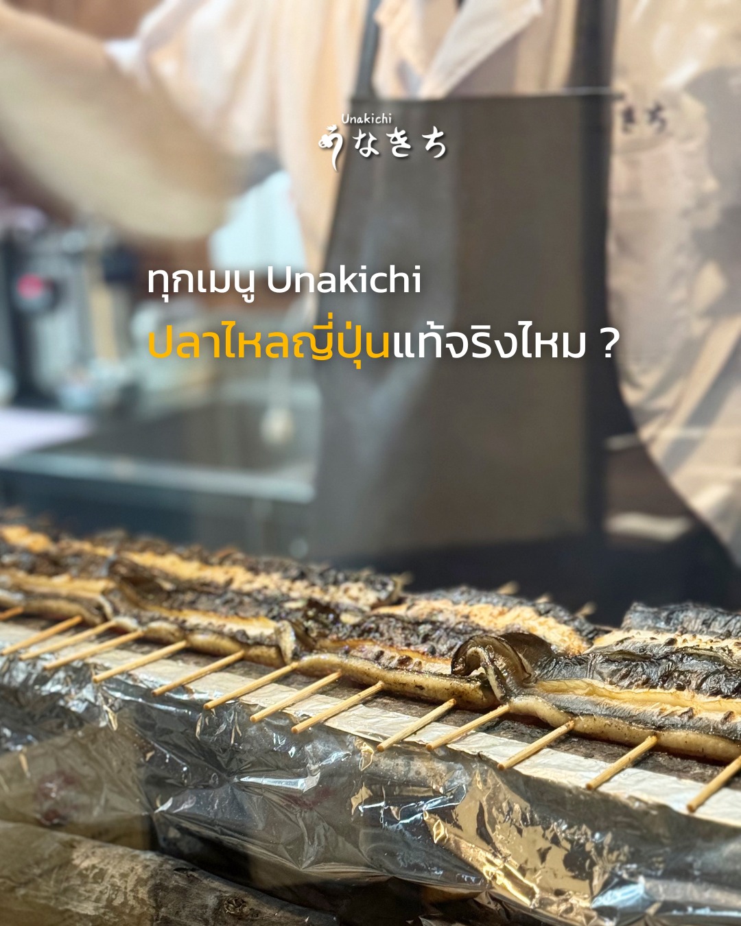 ปลาไหลญี่ปุ่นแท้จริงไหม ?? 
ลูกปลาไหลมาจากแม่น้ำธรรมชาติของญี่ปุ่น เลี้ยงในฟาร์มมาตรฐานของญี่ปุ่น เท่านั้น  คัดและส่งมาที่ไทยโดยตรงจากญี่ปุ่น 
เมนูที่ร้านเป็นแบบต้นตำรับญี่ปุ่นเท่านั้น  สั่งทานได้ทั้งที่ร้าน และกลับบ้าน 

ข้าวหน้าปลาไหลญี่ปุ่น มีให้เลือกปลาไหลย่างแบบ Kanto style หรือ Kansai style  ที่ Unakichi Thailand 
☀️ เฉพาะรอบกลางวัน เสิร์ฟพร้อม ซุป สลัด และของหวาน 
* โปรดสอบถามจากพนักงานของเรา
 Booking or more information: สอบถามรายละเอียดเพิ่มเติมได้ทาง 

🔸 Line: @unakichi.th or click >> https://lin.ee/clzYMan
☎️ Tel: 098 104 0010