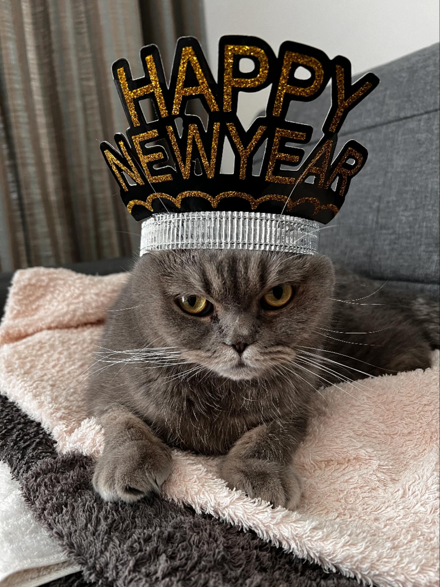 明けましておめでとうございます！
本年もよろしくお願いいたします🐴🎍
沢山のお客様にお会いできるのを楽しみにしております♪