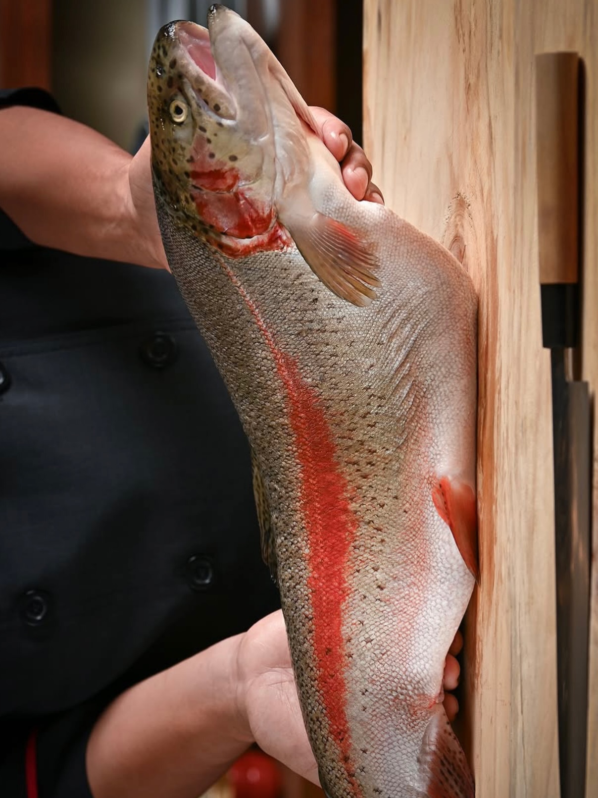 静岡県産・紅富士サーモン。
美しい紅色の身と上品な脂、クセのない澄んだ旨み。
刺身や寿司でこそ味わいたい、国産プレミアムサーモンです。

—————————
เบนิฟูจิแซลมอนจากจังหวัดชิซูโอกะ
เนื้อสีแดงสวย ไขมันนุ่มละมุน รสชาติสะอาดและหรูหรา
เหมาะอย่างยิ่งสำหรับซาชิมิและซูชิระดับพรีเมียม

—————————
Benifuji Salmon from Shizuoka, Japan.
Vibrant color, refined fat, and a clean, elegant flavor.
A premium Japanese salmon, perfect for sashimi and sushi.

-*-*-*-*-*-*-*-*-*-*-*-*-*-*-
📝 For reservations and inquiries, 
contact us on LINE!
＠shakarich
*-*-*-*-*-*-*-*-*-*-*-*-*-*-*-*-

🍴SHAKARICH
📍Shilom Surawong
🕚11:00-Late
📞02-086-7898
🚪15 Private Rooms
(From 2P up to 20P)
🅿️Charn Issara Tower 1
🚄4 min walk from BTS Sala Deang

📍Thonglor Soi 14
🕚11:00-late
📞02-045-4032
🚪12 Private Rooms
(From 2P up to 22P)
🅿️Thonglor13 Home Place

📱097-053-9928
(Japanese)

#BenifujiSalmon #PremiumJapanese #LuxurySeafood #Shizuoka #JapaneseCuisine #BangkokDining #SushiLovers #FineDining#shakarich#thonglor#surawong