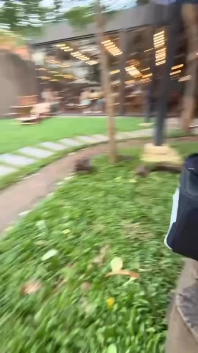 明けましておめでとうございます🎍 2026年もZARAヤングプレイスをどうぞ宜しくお願い致します✨ 新しい年を迎え、1月4日より元気に営業を再開しております😊 新年のスタートを素敵に彩るため、Zaraスナックバーがお客様を心を込めてお迎えいたします💖

私たちの可愛いキャストたちが皆様のお越しを心待ちにしておりますので、ぜひお立ち寄りください🌸 新しい出会いや楽しいひと時をぜひZARAヤングプレイスでお楽しみください🥂

これからも、お客様にご満足いただけるようスタッフ一同努力して参りますので、是非今後とも変わらぬご愛顧をお願い申し上げます💫 皆様にとって素晴らしい一年となりますように🙏

Happy New Year 🎍 We look forward to your continued support of ZARA Young Place in 2026 as well✨ With the arrival of the new year, we have cheerfully resumed business from January 4th😊 To make the start of the new year splendid, the Zara Snack Bar welcomes our customers with all our heart💖

Our adorable cast is looking forward to your visit, so please stop by🌸 Please enjoy new encounters and joyful moments at ZARA Young Place🥂

All our staff will continue to do our best to satisfy our customers, so we kindly ask for your continued patronage💫 Wishing you all a wonderful year🙏

新年快乐🎍 2026年也请多多关照ZARA Young Place✨ 迎来新的一年，我们从1月4日开始已经元气满满地重新营业😊 为了让新年有个美好的开始，Zara小吃吧将用心迎接每一位顾客💖

我们可爱的演员们都在期待着您的光临，请一定要来看看我们🌸 请在ZARA Young Place享受一次全新的邂逅与美妙时光吧🥂

今后我们全体员工也会继续努力，为了让顾客更加满意，敬请继续惠顾💫 祝愿大家拥有美好的一年🙏

#スナックバー
#バンコク夜遊び
#ガールズバー
#BangkokNightlife
#ZaraYoungPlace
#explorepage
#viral
#曼谷酒吧
#曼谷夜生活
#SnackBar
#JapaneseSnackBar