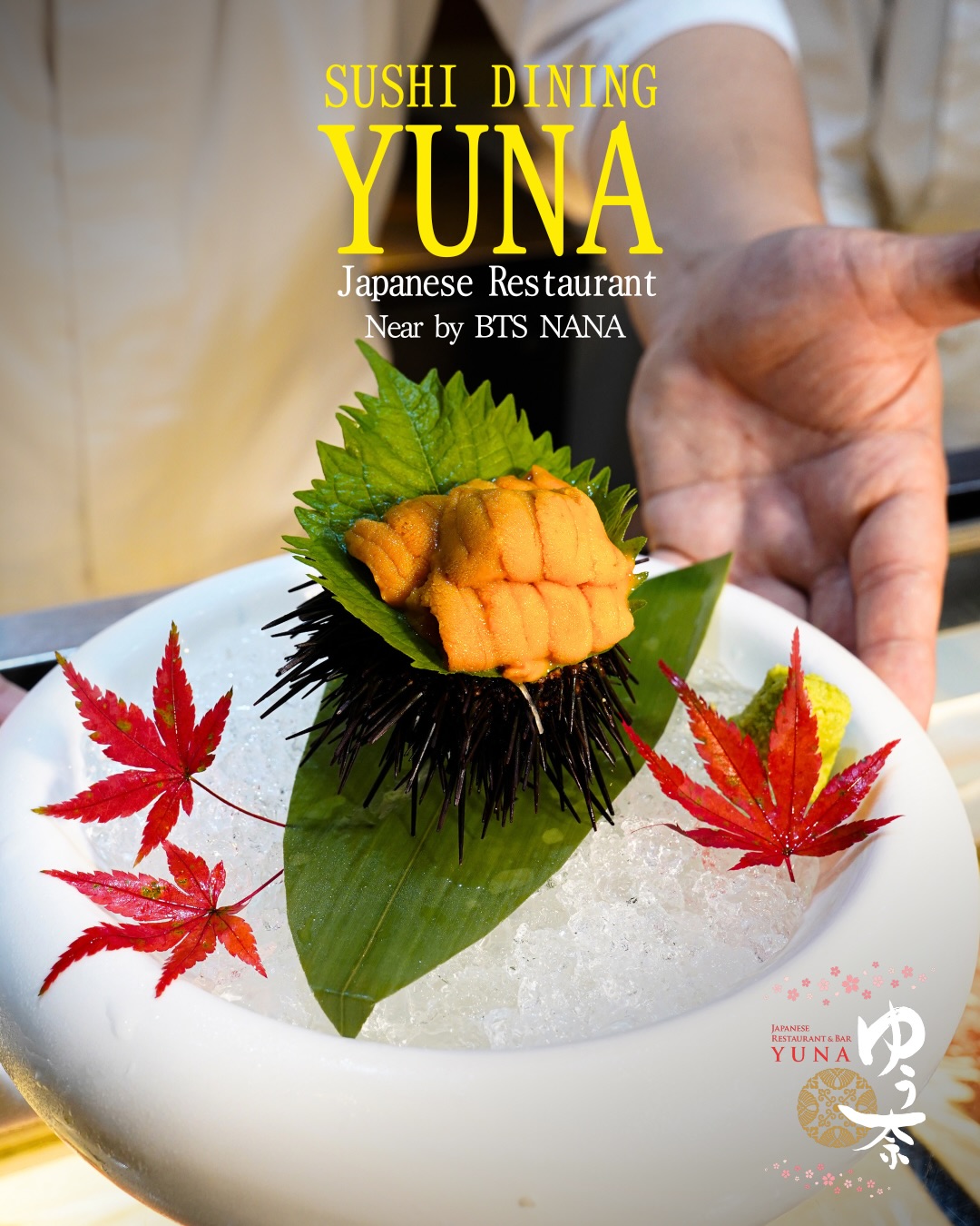 Hello this YUNA restaurant !
We’d like to introduce about our recommended menu ,”Fresh Uni Sashimi (1,300 THB)”
Premium Japanese uni, delivered twice a week.
A luxurious plate showcasing the true flavor of fresh sea urchin.

こんにちは！ゆう奈です！
本日、私たちが紹介するのは
生うに刺身（1,300THB）です。

日本から仕入れ・週2回入荷する新鮮なウニの甘みと旨みを味わう贅沢な一皿です！

大切なひとときをゆう奈で。

📍 Near BTS Nana
　 Sukhumvit 11/1 Alley
📞 Tel: 02-067-2602
⏰ 11:00–01:00

For reservations, please call or DM us.