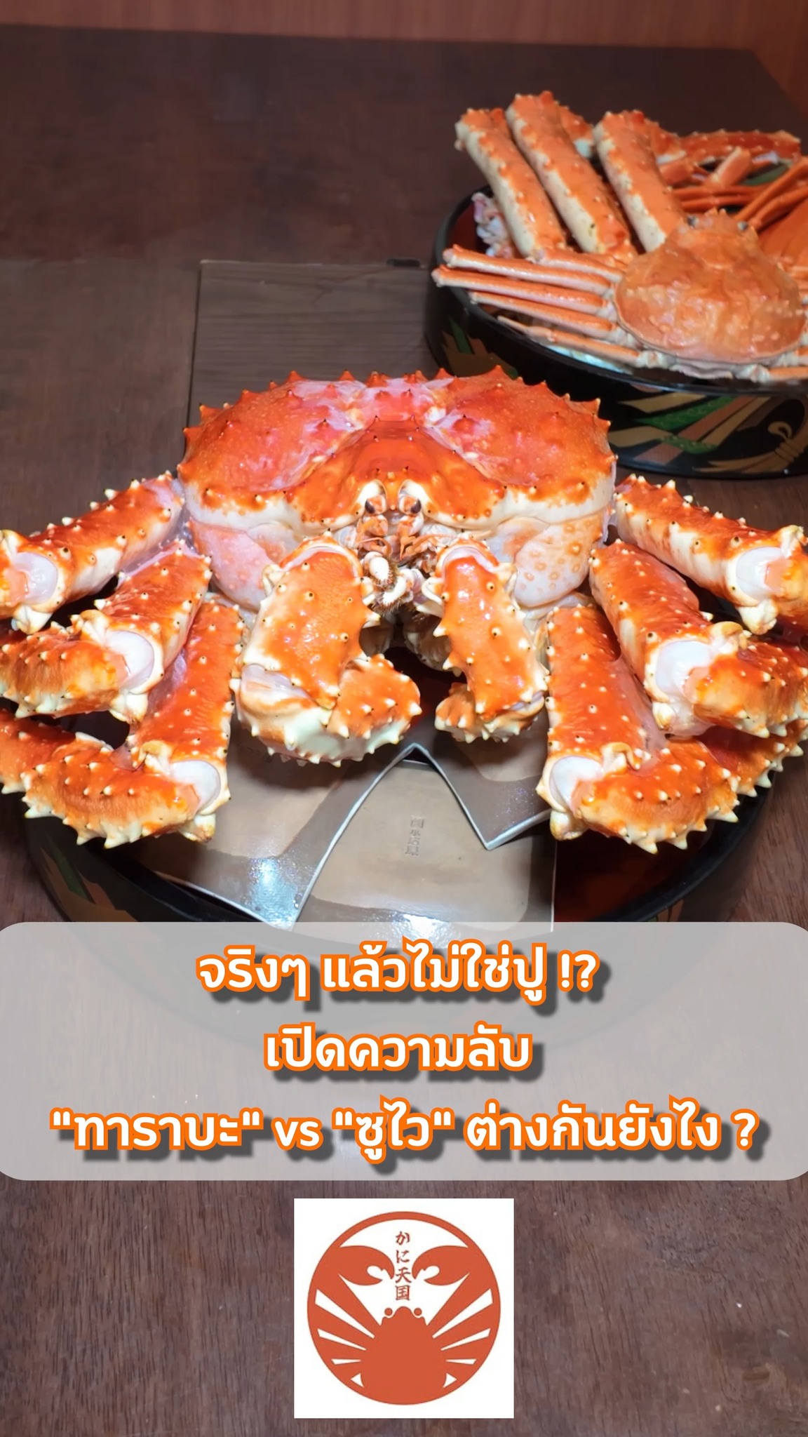 🦀 ปูทาราบะไม่ใช่ปู…จริงดิ!? 
เชฟญี่ปุ่นมาสอนเอง เคล็ดลับแกะปูง่ายๆ ที่คุณต้องรู้! เนื้อหลุดออกมาสวยๆ แล้วฟินมาก! 🤤

🔥 All You Can Eat 🦀 
Zuwai (ズワイ/ปูซูไว): 1,980 THB 👑 
Taraba & Zuwai (タラバ＆ズワイ/ทาราบะ&ซูไว): 4,480 THB

💬จองโต๊ะ & รับโปรโมชั่นลับ แอด LINE เลย! 
👉 Link in Bio (ลิงก์หน้าโปรไฟล์/リンクはプロフィールから)
📍 Kani Tengoku Thong Lo

#カニ天国 #KaniTengoku #バンコクグルメ #カニ食べ放題 #タラバガニ #ズワイガニ #บุฟเฟต์ปู #ทองหล่อ #BangkokBuffet
