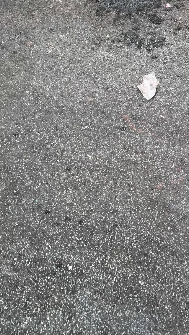 He plactice Ramen on the Road!?5555

————————
TENYO RAMEN-Sukhumvit Soi 11/1 -
We are open 🍜
Real Ramen. Real Flavor.
Open 11:00–03:00
📞 095 587 9759