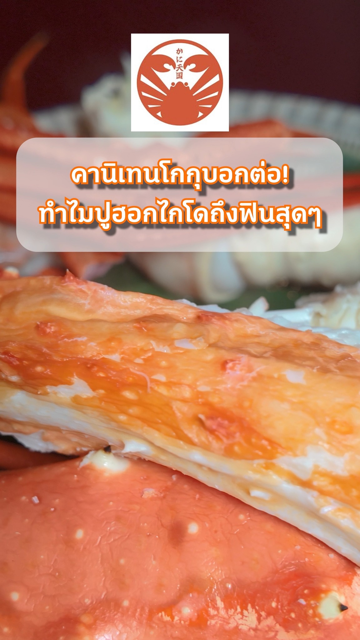 🦀 รู้ไหม? ทำไมปูฮอกไกโดถึงอร่อยและคุ้มค่า?

ความลับคือ... การส่งตรงแบบ "One-Stop" ไม่ผ่านคนกลาง! 🚛 
เราควบคุมคุณภาพอย่างเข้มงวด ปูเลยสดใหม่แถมทำราคาได้ดีสุดๆ!

🔥 All You Can Eat (75 mins) 
✅ Zuwai (ズワイ): 1,980 THB 
✅ Taraba & Zuwai (タラバ＆ズワイ): 4,480 THB
📲จองโต๊ะ & รับโปรโมชั่นลับ แอด LINE เลย!
👉 Link in Bio (ลิงก์หน้าโปรไฟล์)

📍 Kani Tengoku Thong Lo
https://maps.app.goo.gl/Qe3e9NwXpxyiPBfV6

#บุฟเฟต์ปู #ทองหล่อ #HokkaidoCrab #Kanitengoku
