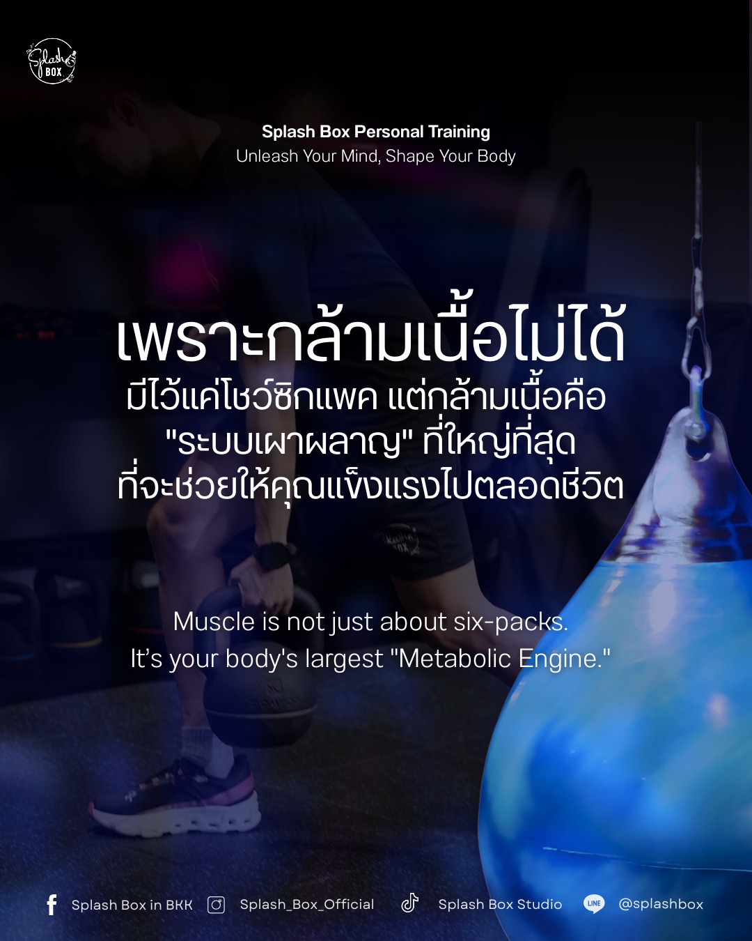 เพราะกล้ามเนื้อไม่ได้มีไว้แค่โชว์ซิกแพค แต่คือ "ระบบเผาผลาญ" ที่ใหญ่ที่สุด ที่จะช่วยให้คุณแข็งแรงไปตลอดชีวิต 💯

หมดยุคการออกกำลังแบบฝืนร่างกาย มาสร้างโหมด "Forever Strong" ที่ผสานทั้งความฟิตและการปลดปล่อยความเครียด ไปด้วยกันที่ Splash Box Studio 🥊💦

สิ่งที่คุณจะได้รับจาก Personalized PT Program ของ Splash Box Studio:
✔️ โปรแกรมออกแบบเฉพาะบุคคล (ปั้นหุ่น + สร้างกล้ามเนื้อ + ช่วยเรื่องออฟฟิศซินโดรม + ช่วยปรับท่าทางการนั่งและการยืน + ลดความตึงเครียด )
✔️ Private Space เป็นส่วนตัว 
✔️ ดูแลโดยเทรนเนอร์มืออาชีพที่เข้าใจสรีระคุณจริงๆ

⚡️ Special Offer: เริ่มต้นเพียง 833 บาท / Session* 
(รับจำนวนจำกัด เพื่อการดูแลที่ Exclusive ที่สุด)

_________________________
🥊 Splash Box Studio
📌 Marche’ Thonglor, Building A, 5M Floor
🕘 Opening hours : 9:00 to 22:00
🚿 Full Amenities Provided (Rental Sportswear, Rental Gloves, Rental Towels, Toiletries & Skincare)

Book Now
👇Line Official : @ splashbox

#Splashbox #DarkBeatBoxercise
#ผับของคนรักสุขภาพ #ThonglorGym #PrivateGym