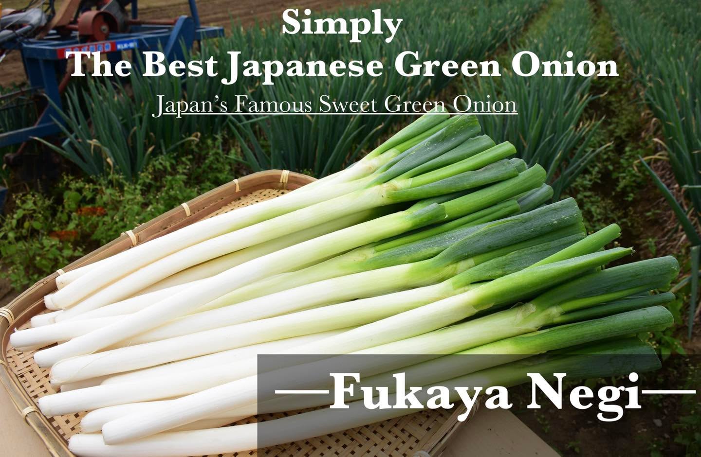 Limited Time Only — Feb 28 & Mar 1
Laburi’s signature Negi Shabu
made with Fukaya Negi, Japan’s famous sweet green onion.

Naturally sweet, tender, and perfect for shabu-shabu.
Available for these two days only.

เมนูพิเศษเฉพาะช่วงเวลา | 28 ก.พ. & 1 มี.ค.
Negi Shabu เมนูขึ้นชื่อของ Laburi
ใช้ ฟุคายะเนงิ ต้นหอมญี่ปุ่นรสหวานพิเศษ

ยิ่งต้มยิ่งหวาน เนื้อนุ่มละมุน
มีเฉพาะ 2 วันนี้เท่านั้น

【期間限定】
2/28・3/1 限定
Laburi 名物「ネギしゃぶ」が
深谷ネギで登場。

火を入れるほど甘く、とろける食感。
この2日間だけの特別な味をぜひ。

#Laburi
#NegiShabu
#FukayaNegi
#JapaneseHotPot
#SeasonalSpecial
#LimitedTimeOnly
#PremiumIngredients
#大阪グルメ
#日本料理
#ชาบูญี่ปุ่น