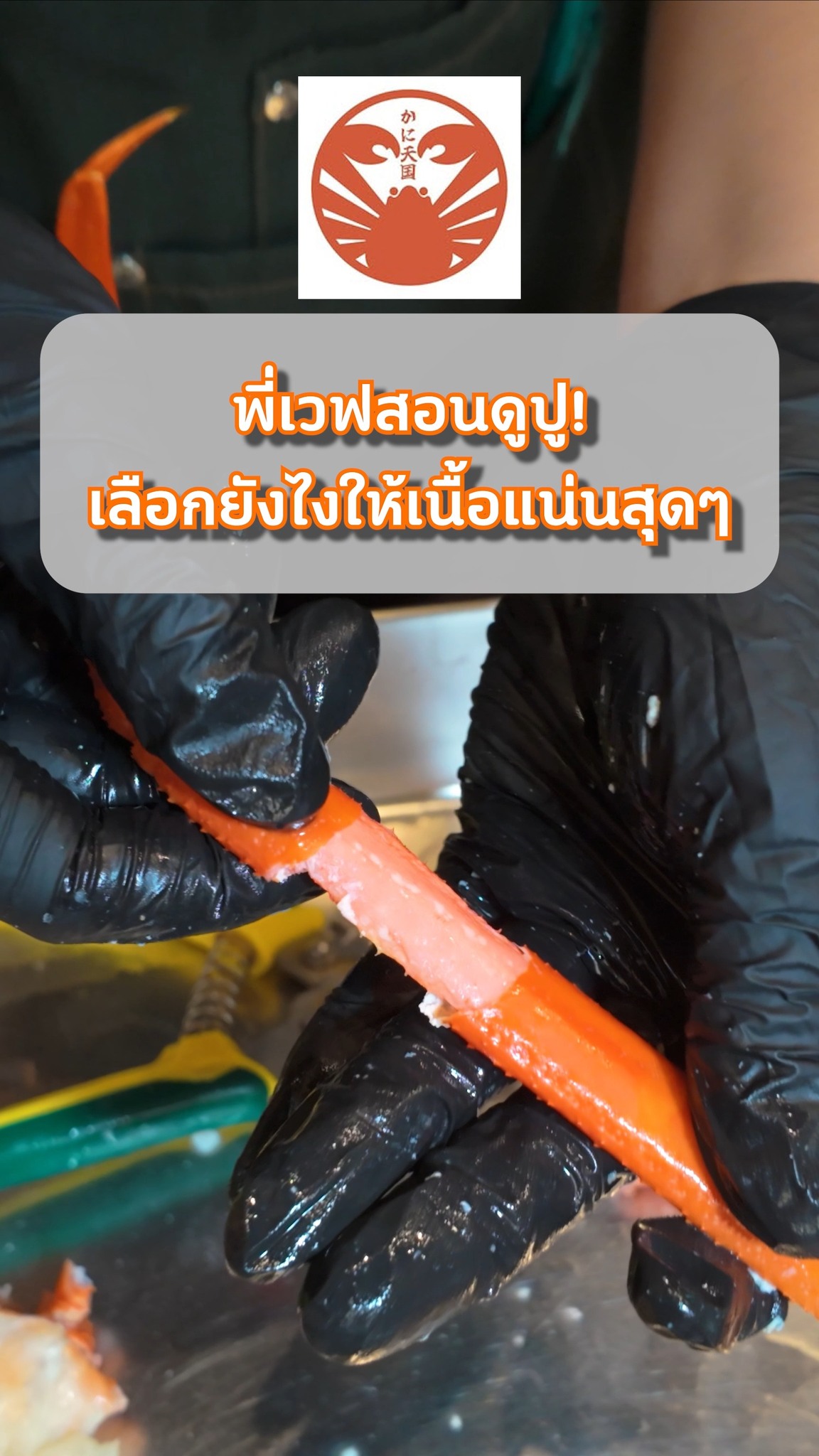 เคล็ดลับในการเลือกปูที่อร่อย🦀

เชฟญี่ปุ่นสอนเอง! วิธีเลือกปู "เนื้อแน่น" ดูยังไง? 
ดูที่น้ำหนัก? สี? หรือท้องปู? 
ดูคลิปนี้จบ เลือกปูเก่งเหมือนโปรแน่นอน! ✨

แต่ที่ Kani Tengoku สดทุกตัว! 🔥 All You Can Eat (75 mins)
✅ Zuwai : 1,980 THB 
✅ Taraba & Zuwai : 4,480 THB
💬 จองโต๊ะ & รับโปรโมชั่นลับ แอด LINE เลย! 
👉 Link in Bio (ลิงก์หน้าโปรไฟล์)

📍 Kani Tengoku Thong Lo
https://maps.app.goo.gl/VByczwAULmyP4maB8

#カニ天国 #KaniTengoku #วิธีเลือกปู #สาระน่ารู้ #ทริคเด็ด