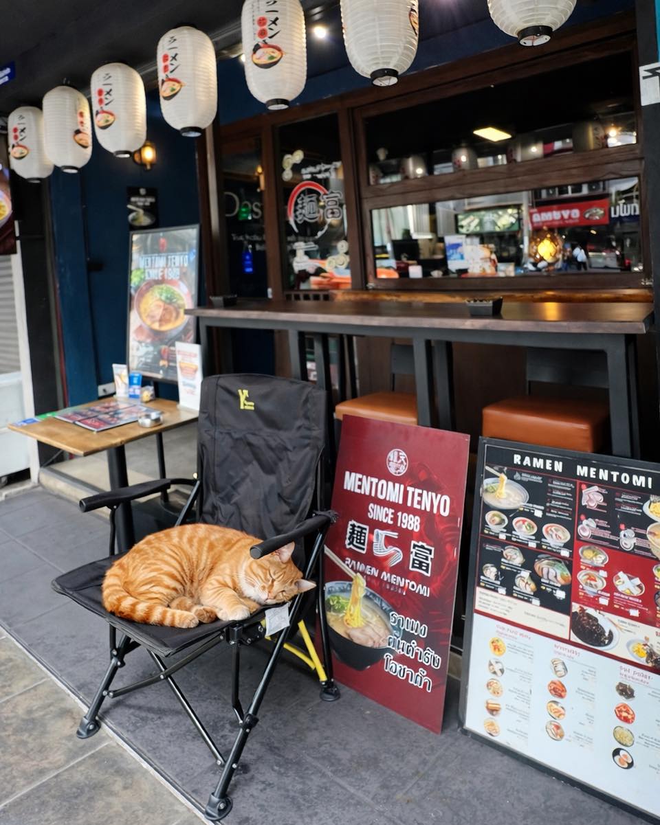 Neko Ramen Influencer 😁 
#tonglor #ramenbkk #bangkokramen #ramenmentomi