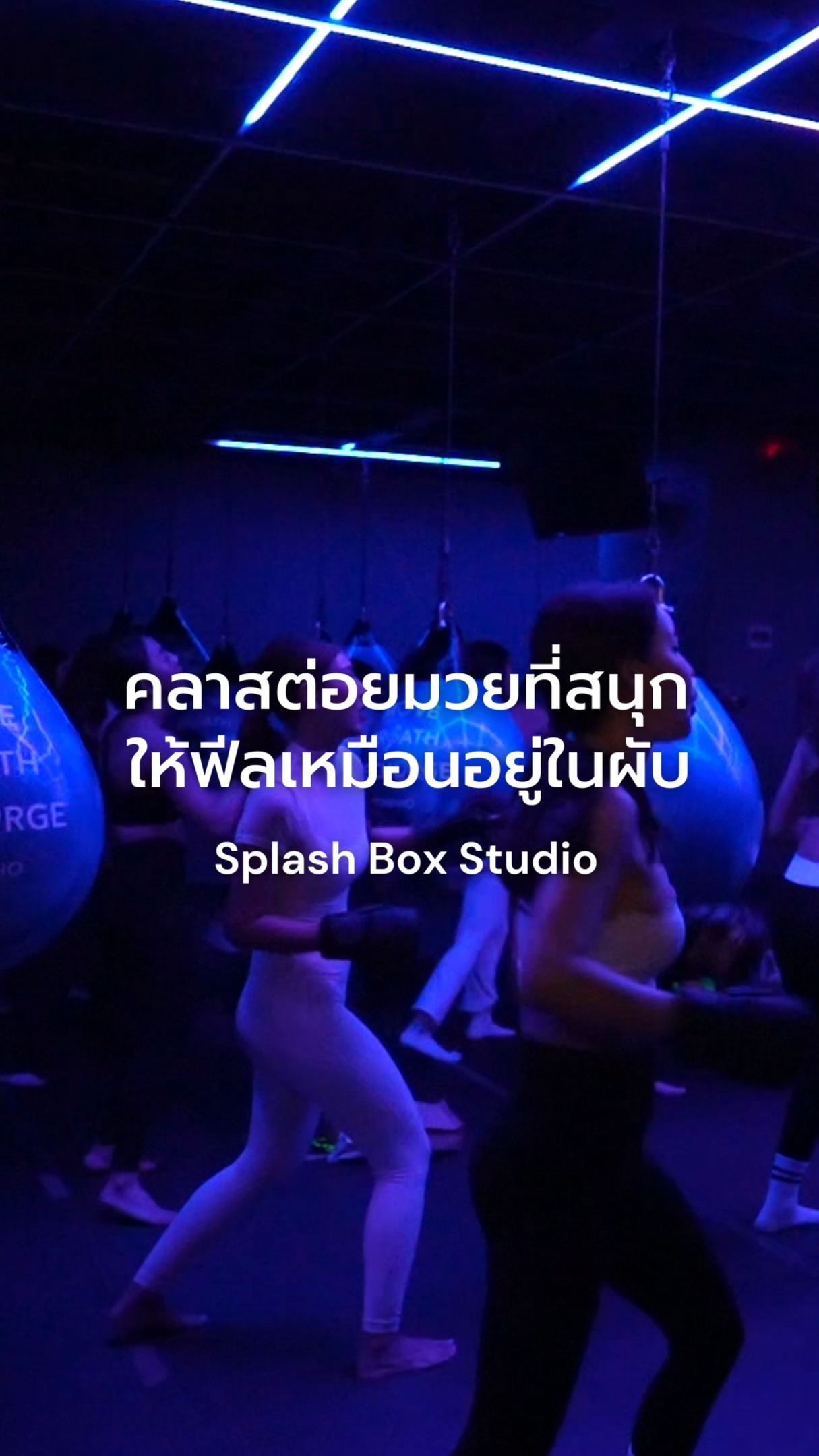 คลาสต่อยมวยที่ให้ฟีลไม่เหมือนออกกำลังกาย แต่ฟีลเหมือนออกไปปาร์ตี้

Splash Box Studio ได้สร้างกฏใหม่ ทำคลาสออกกำลังกายที่แม้แต่คนไม่ชอบออกกำลังกาย "ยังอยากมาเล่นซ้ำ"

ทั้งยังให้ความสะดวกสบาย มีนวม ชุดออกกำลังกาย และอุปกรณ์ต่างๆให้ครบ "มาแต่ตัวเล่นได้เลย" ใครสนใจไปลองเล่นได้ที่ Splash Box ทองหล่อ

จองคลาสผ่านทาง
Line Official : @ splashbox
_________________________
🥊 Splash Box Studio
📌 Marche’ Thonglor, Building A, 5M Floor
🕘 Opening hours : 9:00 to 22:00
🚿 Full Amenities Provided (Rental Sportswear, Rental Gloves, Rental Towels, Toiletries & Skincare)

#Splashbox #DarkBeatBoxercise
#ผับของคนรักสุขภาพ #ThonglorGym #PrivateGym