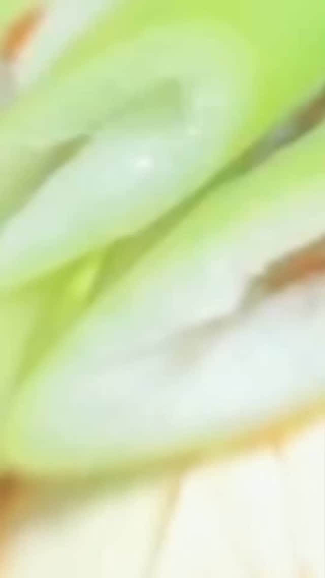 “Hot. Spicy. Comfort in a bowl 🍲🌶️
Kimchi Soup hits different 🇰🇷✨
FREE rice & refill side dishes 💯”
“Steaming hot kimchi soup on a good day 🍲✨
Spicy, rich, and full of love ❤️🇰🇷”
#dongdaemun 
#korean 
#tasteofkorea 
#kimchisoup 
“ร้อน เผ็ด อร่อยลงตัวในชามเดียว 🍲🌶️
ซุปกิมจิอร่อยไม่เหมือนใคร 🇰🇷✨
ข้าวสวยฟรี และเติมเครื่องเคียงได้ไม่อั้น 💯”
“ซุปกิมจิร้อนๆ ในวันที่ดีๆ 🍲✨
เผ็ด รสชาติเข้มข้น และเต็มไปด้วยความรัก ❤️🇰🇷”
#ดงแดมุน
เกาหลี
รสชาติเกาหลี
ซุปกิมจิ