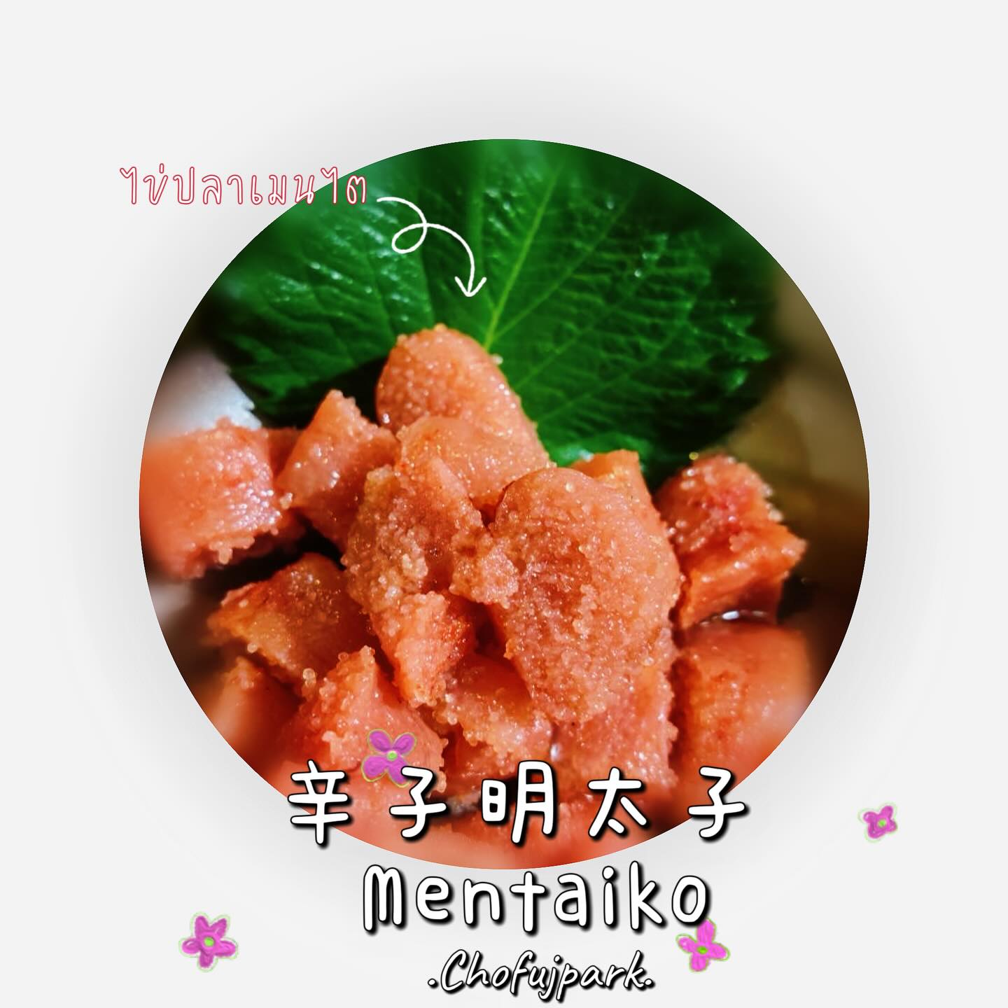 เมนไตโกะ หรือที่หลาย ๆ คนรู้จักในชื่อว่าไข่ปลาค็อดนั้น เป็นที่นิยมในหมู่คนรักอาหารทะเลสุดๆ ด้วยรสชาติที่เข้มข้นและสัมผัสที่หนึบหนับ ทำให้เจ้าไข่ปลานี้กลายเป็นวัตถุดิบที่โดดเด่น จะทานคู่กับอะไร ยังไงก็ดูจะอร่อยเสมอ  จะเอาไปเป็นไส้ในโอนิกิริ ข้าวปั้นญี่ปุ่น ต้มกับข้าวสวยร้อนๆ ใส่เข้าไปในพาสต้าคาโบนาร่า เพิ่มความกลมกล่อม หรือจะใช้เป็นท็อปปิ้งบนขนมปังก็เข้าท่ามากๆ สมแล้วที่มันเป็นความอร่อยที่ต้องลอง และเป็นที่รักของหลายๆ คน 🥰 

ถ้าใครยังไม่เคยลองล่ะก็ แนะนำให้รีบจัดเลยนะ แล้วจะรู้ว่าความดีงามของเมนไตโกะนั้นไม่ธรรมดาจริงๆ 🐟✨ อ้อ! อย่าลืมเตรียมเครื่องดื่มเย็นๆ ไว้ข้างกายด้วยล่ะ โดยเฉพาะเครื่องดื่มที่เข้ากันดีกับรสเค็มนุ่มของเมนไตโกะ อย่างน้ำเก็กฮวยเย็นชื่นใจ หรือเบียร์เย็น ฤดูไหนๆ ก็ฟินได้ ฟันธง! 😋 💖

明太子、また多くの人が「タラコ」として知っているこの食材は、シーフード愛好家の間でとても人気があります。濃厚な味わいともちもちとした食感で、この魚卵は際立った素材となっています。何と一緒に食べても、どう調理しても、常に美味しそうです。おにぎり（日本のおにぎり）の具にしたり、熱いご飯と一緒に煮たり、パスタのカルボナーラに加えてコクを増したり、パンの上にトッピングとして使ってもとてもいい感じ。なるほど、試してみる価値のある美味しさであり、多くの人に愛されているのも納得です🥰

もしまだ試したことがないなら、ぜひすぐに試してみてください！ そうすれば、明太子の素晴らしさが普通じゃないと分かるはずです🐟✨ あ、冷たいドリンクも忘れずに用意しておいてください。特に、明太子のまろやかな塩味にピッタリ合う飲み物――冷たい菊花茶やビールなどは最高です。どの季節も楽しめること間違いなし！😋　💖

#อาหารญี่ปุ่น
#Chofu
#Chofujpark 
#เจพาร์คศรีราชา
#ร้านอาหารญี่ปุ่น