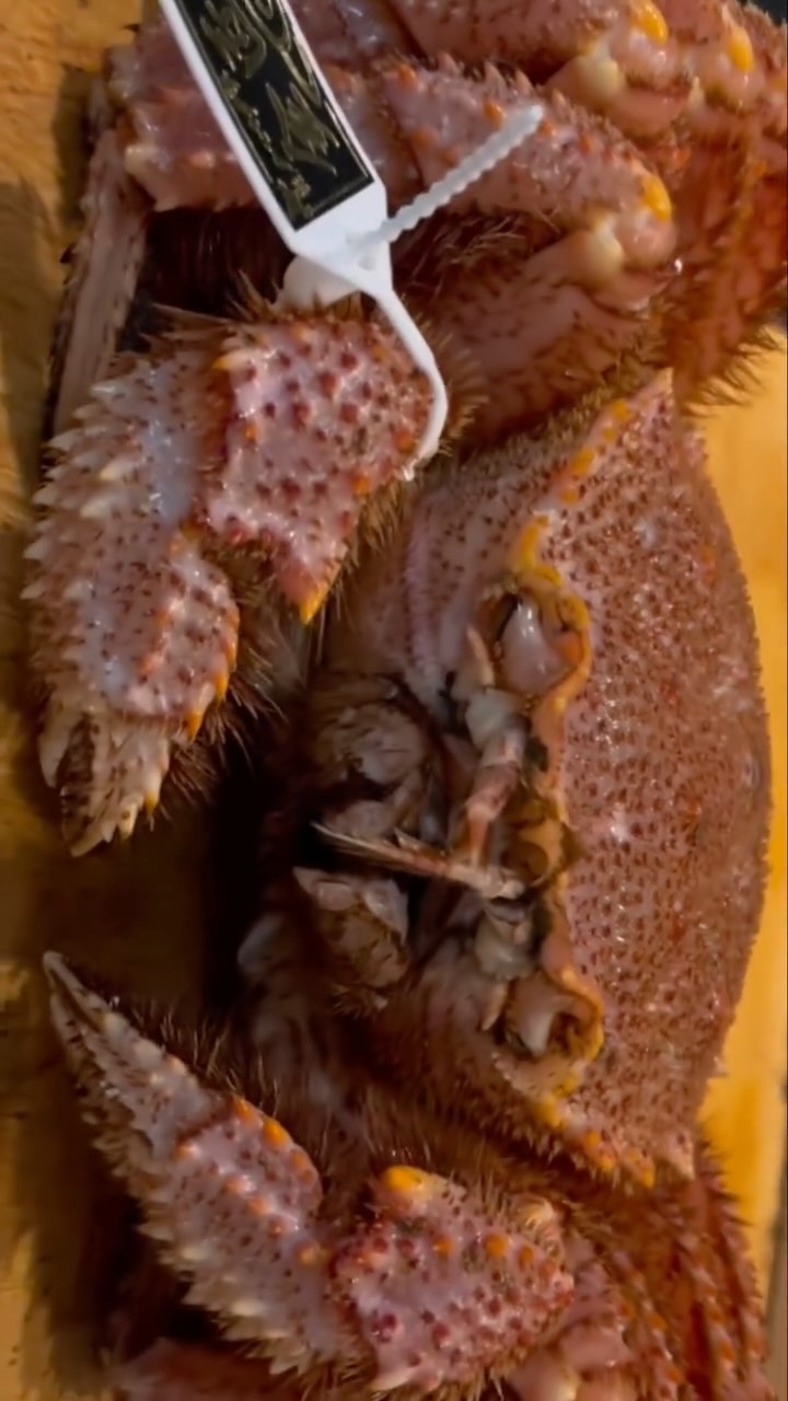 北海道産 毛蟹とたらば蟹

北海道の豊かな海で育まれた、毛蟹とたらば蟹。
繊細な甘みと濃厚な旨み、それぞれ異なる贅沢な味わいをお楽しみいただけます。

完全個室の落ち着いた空間で、
特別なひとときをゆっくりとお過ごしください。

数量に限りがあり、調理にお時間を頂くため、事前のご予約をおすすめしております。

ご予約・お問い合わせはプロフィールの📞又は公式LINEより承ります。

Hokkaido Hairy Crab & King Crab

Premium hairy crab and king crab from Hokkaido.

Enjoy two luxurious flavors—delicate sweetness and rich umami.

Available in limited quantity and preparation takes time,
so advance reservation is highly recommended.

For reservations or inquiries, please contact us via phone or LINE on our profile.

ปูขนฮอกไกโด และปูทาราบะ

วัตถุดิบพรีเมียมจากฮอกไกโด
สัมผัสความหวานละมุนและรสชาติเข้มข้นอย่างลงตัว

มีจำนวนจำกัด และใช้เวลาในการปรุง
แนะนำให้จองล่วงหน้า

สำรองที่นั่งได้ทาง 📞 หรือ LINE ในโปรไฟล์

#しゃかリッチ #毛蟹 #たらば蟹 #個室和食 #BangkokDining