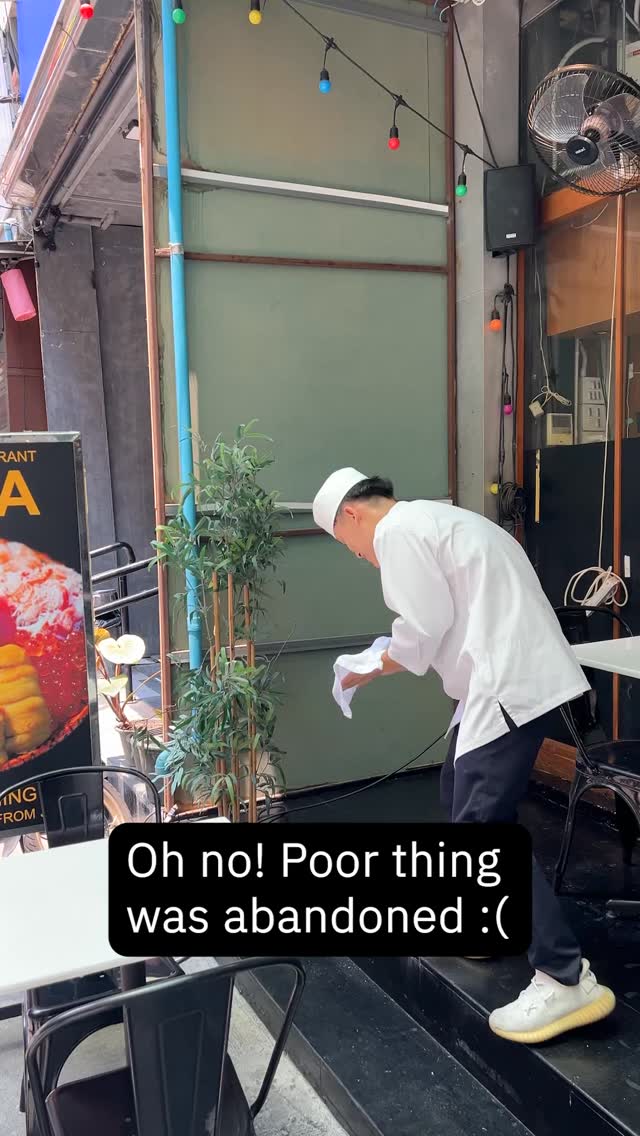 Oh no… Poor thing was abounded :(

Check YUNA MINI DON (@yunajapaneserestaurant )
Location: Sukhunvit 11/1