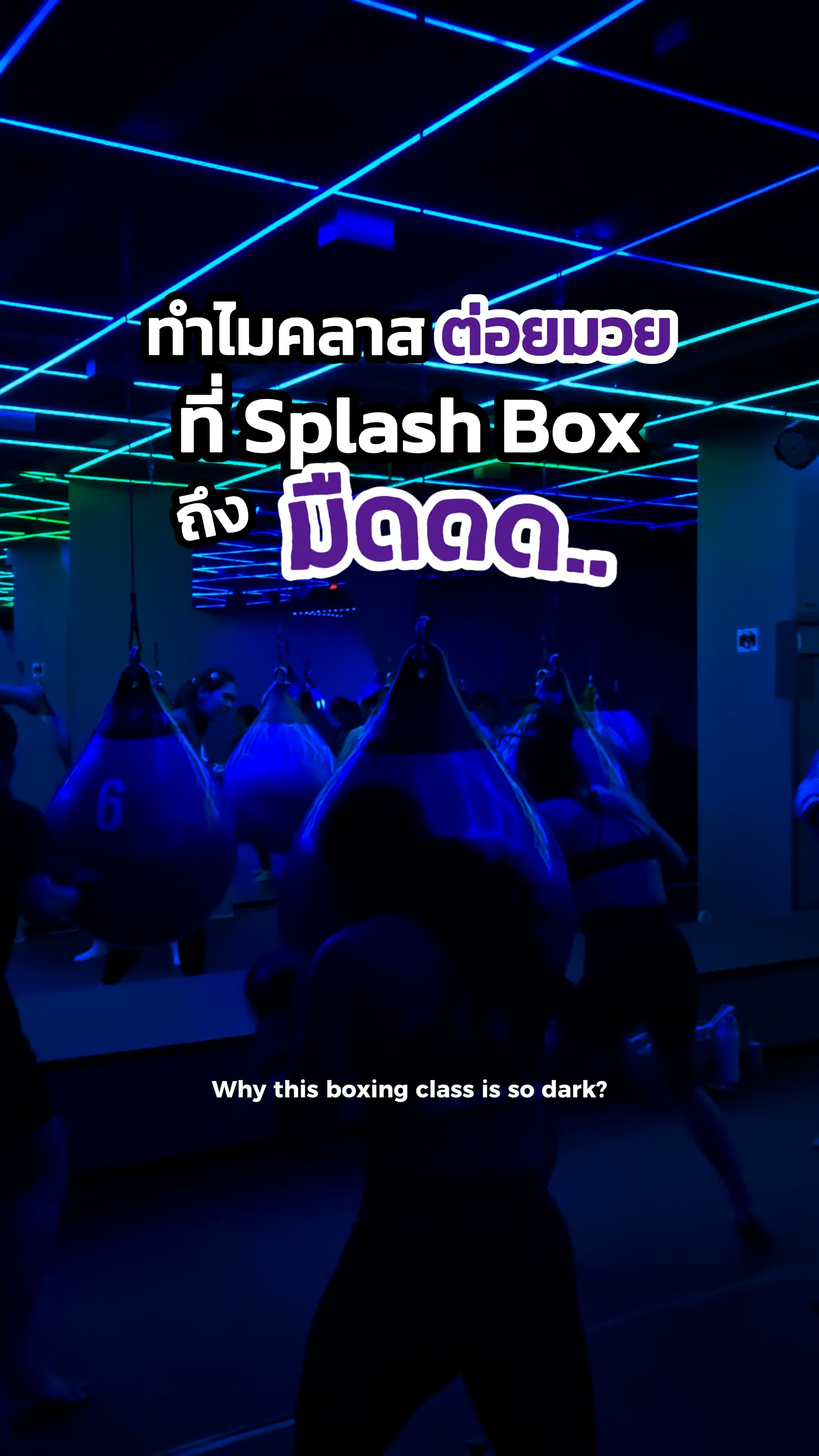คลาส Splash Box มืดเพราะอะไร วันนี้มาตอบให้แล้ว!

No lights, no judgments. Just splash your limits and ride the beat at Splash Box! 🥊 

Book Now
👇Line Official : @ splashbox
_________________________
🥊 Splash Box Studio
📌 Marche’ Thonglor, Building A, 5M Floor
🕘 Opening hours : 9:00 to 22:00
🚿 Full Amenities Provided (Rental Sportswear, Rental Gloves, Rental Towels, Toiletries & Skincare)

#Splashbox #DarkBeatBoxercise
#ผับของคนรักสุขภาพ #ThonglorGym #privategym