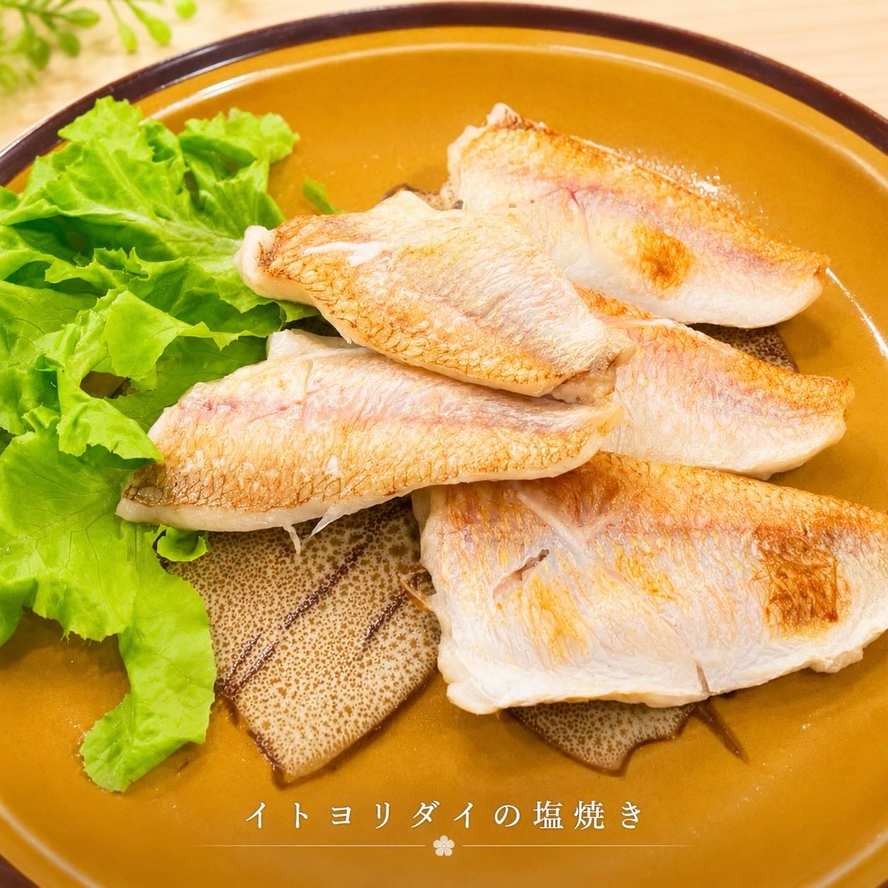 華金✨ですよー
全員集合💨
皆様のご来店お待ちしてます♪

おひとりさま大歓迎！
カウンター席大人気

おばんざい、鉄板焼きメニュー
二階テーブル席、三階個室完備
一階カウンター席でもオーダー可能です

黒兵衛では
各種ご宴会のご予約承ります♪
コース1,000バーツ〜
飲み放題 300バーツor 400バーツ

二階テーブル席
三階9名様までの小宴会用個室ございます。

よろしくお願いします♪
6月もHappy hour 開催中です
17:00〜19:30

キリンビール大瓶　120B
ウィスキーハイボール　80B

Happy hour in  June❗️
17:00〜19:30
Kirin Beer Big Bottle 120B
Whisky Hi-ball 80B

#バンコク創作料理居酒屋 #バンコク日本料理店 #バンコク小料理屋 #バンコクおひとりさま #バンコク1人飲み プラカノン バンコク日本人女性スタッフ常駐 バンコクおかみさん バンコクお好み焼き屋 バンコク鉄板焼き  バンコクおばんざい  japanesefood bangkok phrakhanong japaneserestaurant reopen happyhour obanzai bangkokokonomiyaki bangkokteppanyaki