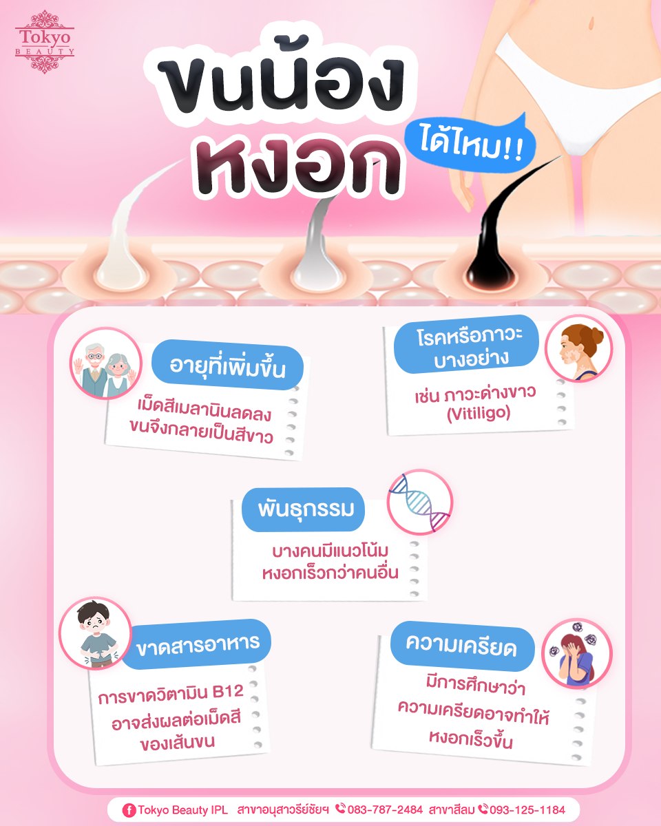 🤔 ขนน้องสาวหงอกได้ไหม?
คำตอบคือ "ได้" ค่ะ สาเหตุอาจมาจาก...
▪️ อายุที่เพิ่มขึ้น
▪️ พันธุกรรม
▪️ ความเครียด
▪️ การขาดสารอาหารบางชนิด
▪️ โรคหรือภาวะที่มีผลต่อเม็ดสี
.
เป็นเรื่องปกติที่สามารถเกิดขึ้นได้ 
ไม่ได้เกิดเฉพาะเส้นผมบนศีรษะเท่านั้นนะ ✨
.
Tokyo Beauty เลเซอร์กำจัดขน 
ดูแลได้ทุกบริเวณ 💖🇯🇵 
IPL Laser เครื่องนำเข้าจากญี่ปุ่น
✔️ กำจัดขนลึกถึงราก
✔️ ช่วยลดการเกิดขนใหม่
✔️ ขนขึ้นช้าลง บางลง และนุ่มขึ้น
.
สอบถาม / จองคิว
Inbox : http://m.me/152264661912195
.
(มีให้บริการ 2 สาขา)
📌 สาขาสีลม โทร : 093-125-1184
📌 สาขาอนุสาวรีย์ชัยฯ โทร : 083-787-2484
===========================
#TokyoBeauty #คลินิกอนุสาวรีย์ #เลเซอร์ขนบิกินี่ #เลเซอร์ขนบิกินี่ราคาถูก #เลเซอร์ขนใกล้BTS #เลเซอร์ขนใกล้รถไฟฟ้า #เลเซอร์ขนราคาถูก #โปรเลเซอร์ขนบิกินี่ #โปรเลเซอร์ขน