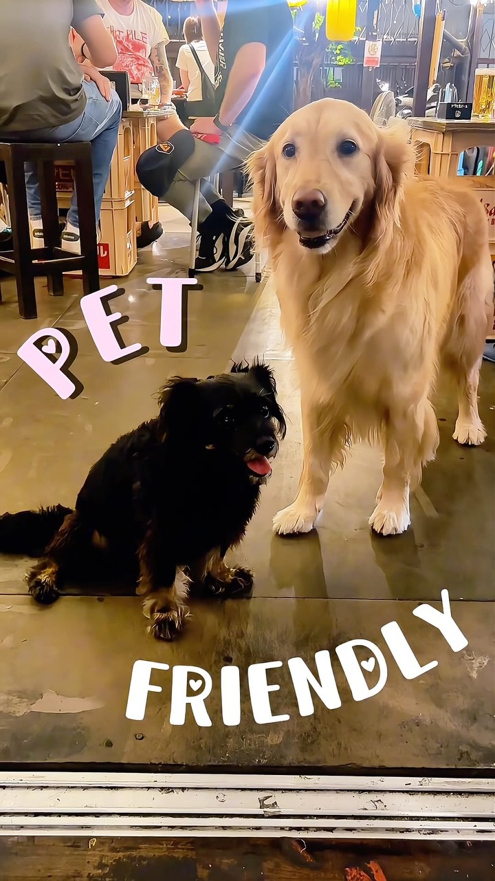 🐶🐾 トンロー横丁は PET FRIENDLY！

ワンちゃんと一緒に居酒屋どうですか？🍻🐕

トンロー横丁では、外のお席限定でペット同伴OKです🙆‍♂️

お散歩の途中にちょっと一杯🍺
晩ごはんを食べながら愛犬とゆっくり過ごすのも大歓迎です！

🇹🇭 Thonglor Yokocho เป็น Pet Friendly 🐶🐾
สามารถพาน้องหมามานั่งด้วยกันได้ที่ โซน Outdoor เท่านั้น 🍻

พาน้องมาเดินเล่นแถวทองหล่อ แล้วแวะกินอาหารญี่ปุ่น ดื่มเบียร์เย็นๆ กันได้ครับ 🇯🇵✨

📍Thonglor Yokocho
🐕 Pet Friendly：Outdoor seats only

#ThonglorYokocho #PetFriendlyBangkok #PetFriendlyThonglor #Thonglor #JapaneseIzakaya